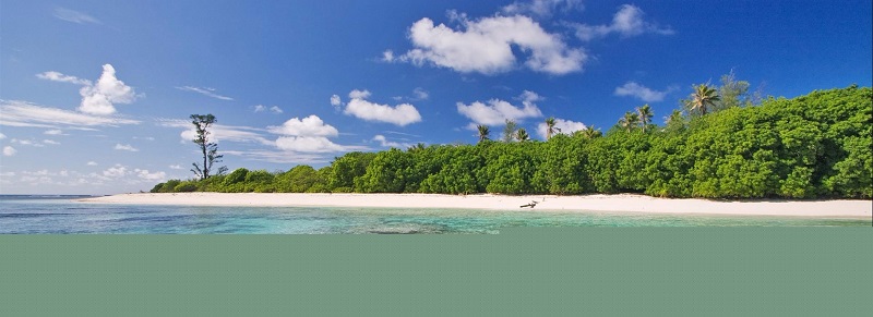 seychelles-booking-beach-vue1-Bird-Island  (© Seychelles Booking)