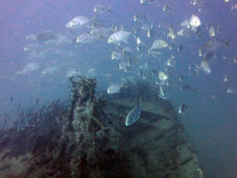 seychelles-mahe-blue-sea-divers-decouverte-35  (© Blue Sea Divers / Blue Sea Divers - FFESSM - CEDIP courses - 4 days (level 1))