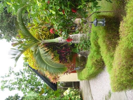 seychelles-mahe-villakordia-garden3-villa  (© Villa Kordia / Villa Kordia)