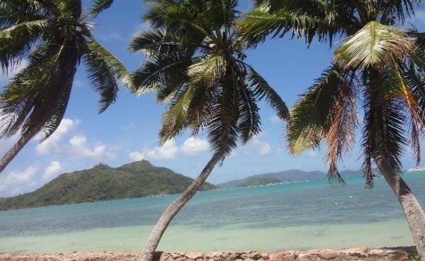 seychelles-praslin-le-cocotier-plage  (© Island Experience - Le Cocotier / Le Cocotier)